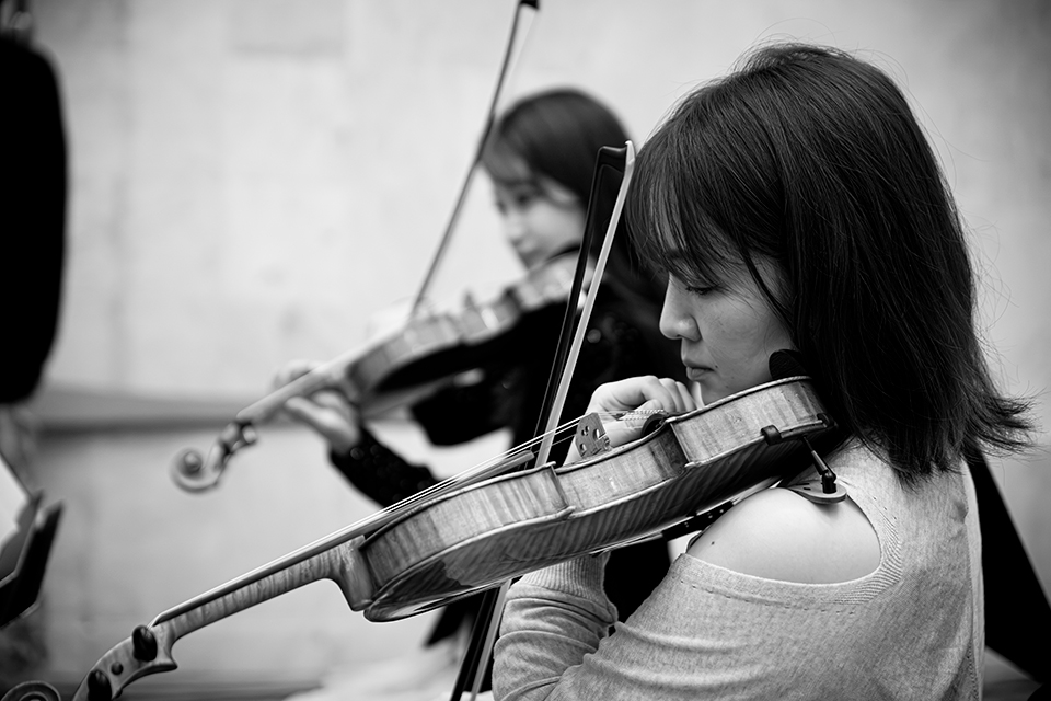 沢田完 / KAN SAWADA / 霊峰 富士山のすべて～春夏秋冬 世界を魅了する絶景と謎～