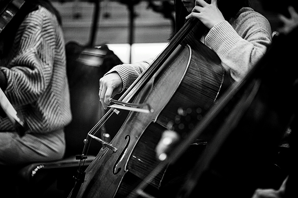 沢田完 KAN SAWADA ターミネーターと恋しちゃったら